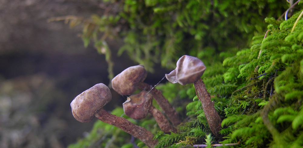 Svuotando l''archivio 2009...parte1